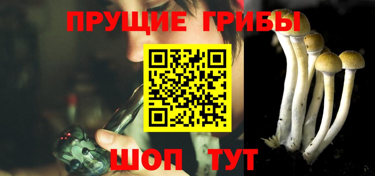Псилоцибиновые грибы мицелий  Вход с VPN  Благодарный 