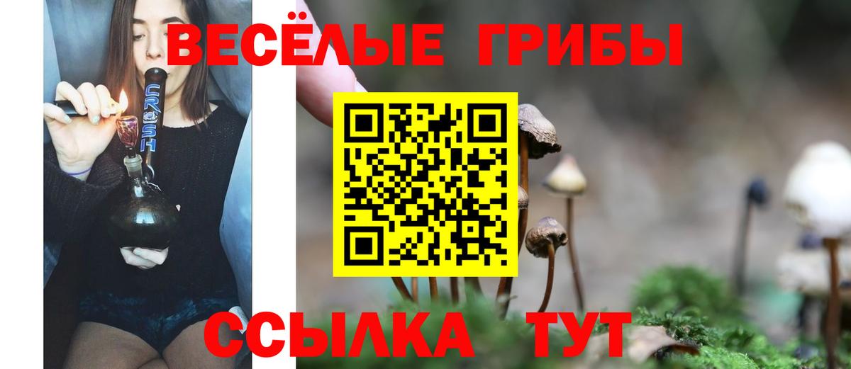 Галлюциногенные грибы мухоморы Благодарный